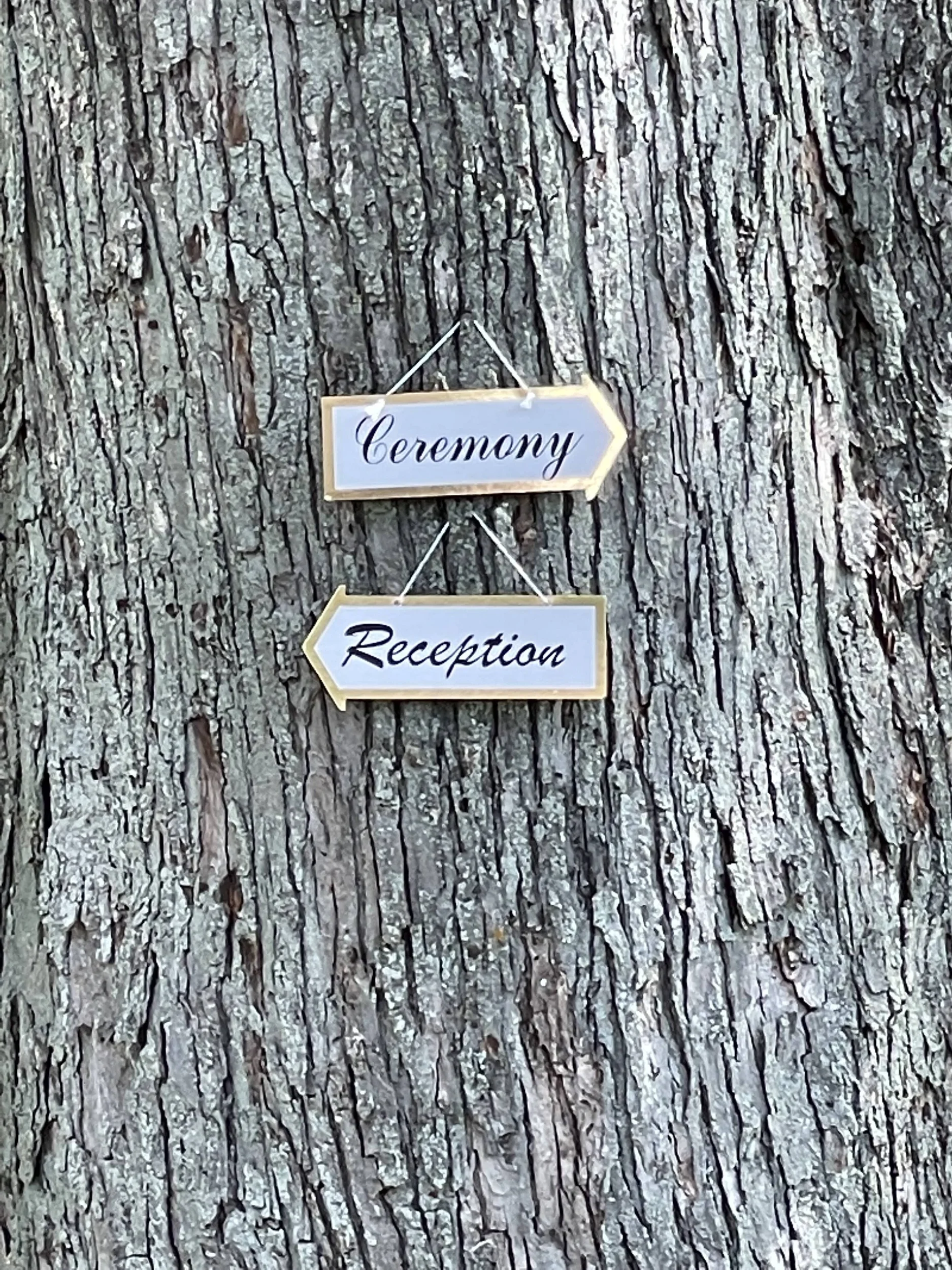 Wedding sign on tree
